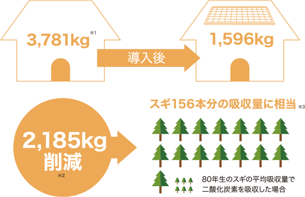 導入後